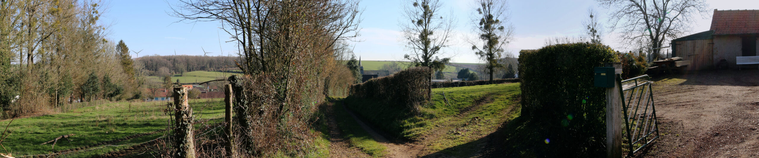 LaFalise_photomontage_12