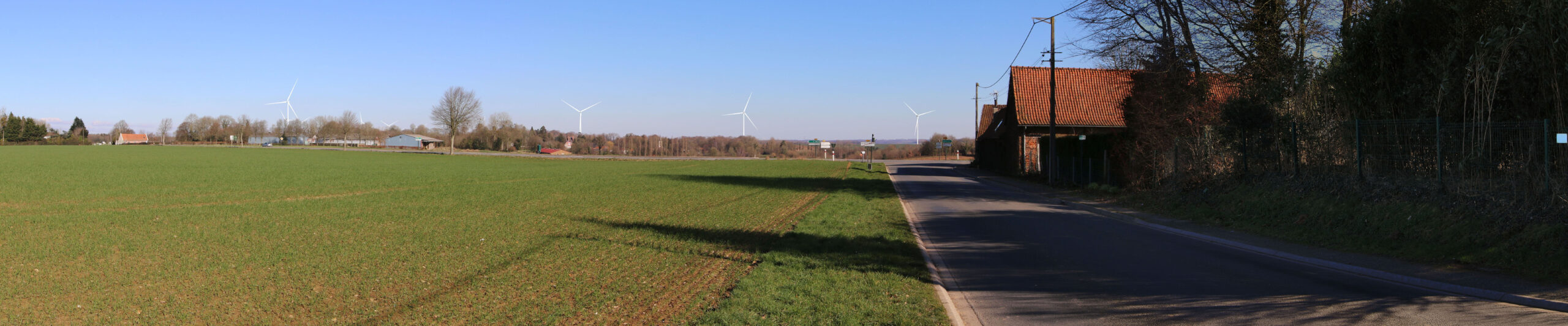 LaFalise_Photmontage_21